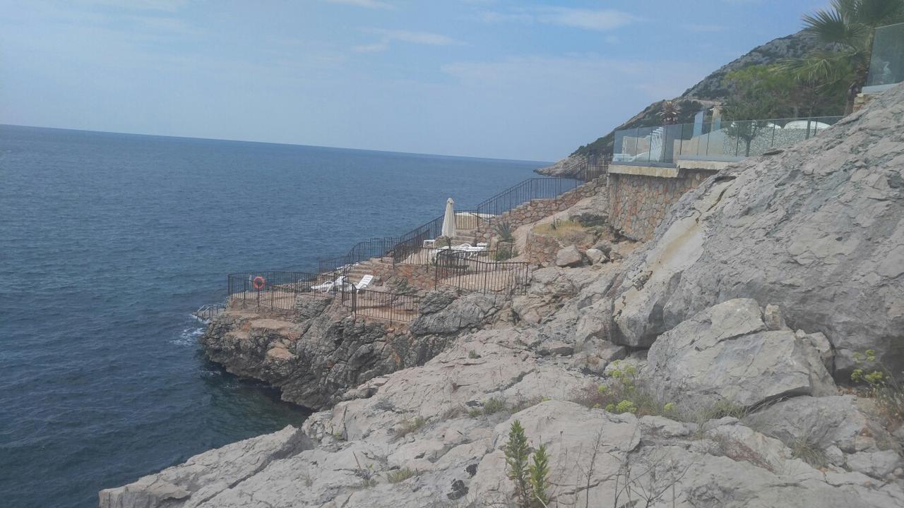 Your Montenegro *