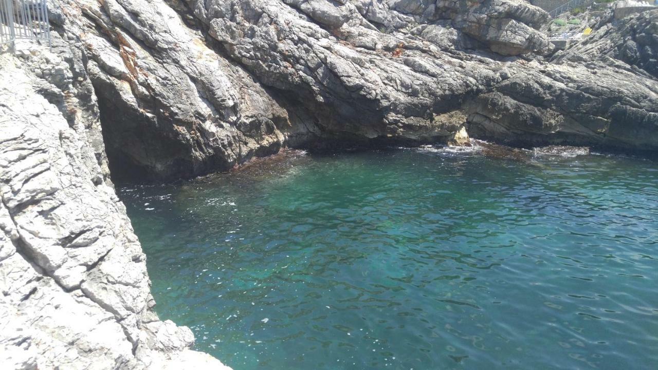 Your Montenegro 多布拉沃达